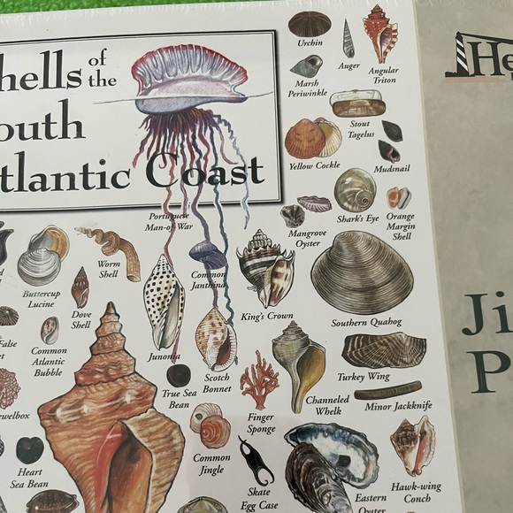 New Shells of the South Atlantic Coast Heritage Puzzle New In Box - Picture 4 of 6